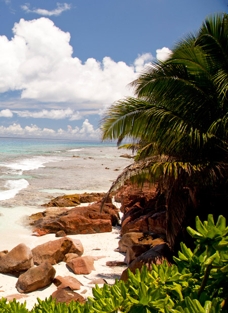 Seychelles beach